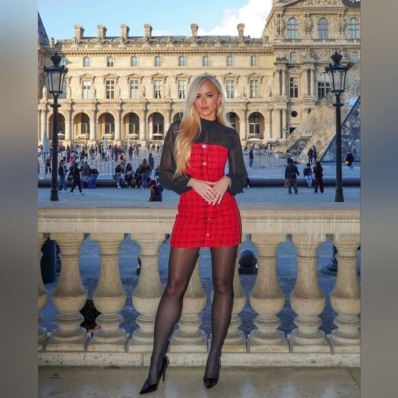 NWT ZARA Bloggers Fav COMBINATION STRUCTURED DRESSβMini Red black tweed Jewel - Picture 7 of 17